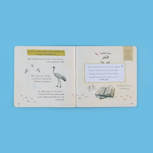 ⁦سلسلة كما ذكرت في القرآن⁩ - الصورة ⁦6⁩