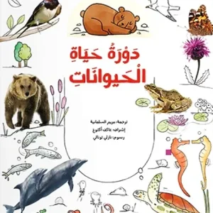 دورة حياة الحيوانات