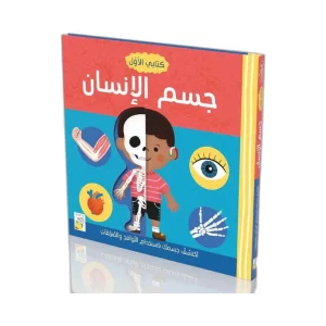 كتابي الأول - جسم الإنسان